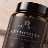 Gut Formula